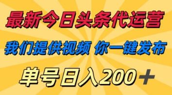最新今日头条代运营,我们提供视频,你一键发布,单号日入200+【揭秘】-极客副业站