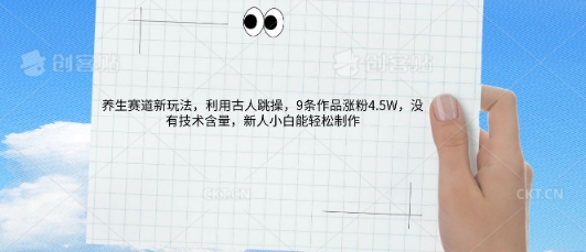 AI养生赛道新玩法,10条作品涨粉5.2W,操作简单,新人小白能轻松制作-极客副业站
