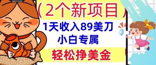 2个新项目，轻松挣美金， 1天收入89美刀，小白专属，干货分享-极客副业站