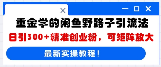 重金学的闲鱼野路子引流法，日引300+精准创业粉，可矩阵放大-极客副业站