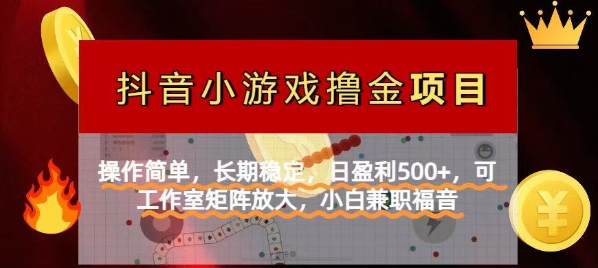 (14290期)【抖音小游戏发行人计划项目】操作简单,长期稳定,日盈利500+,可工作...-极客副业站