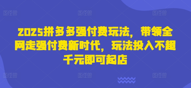 2025拼多多强付费玩法,带领全网走强付费新时代,玩法投入不超千元即可起店-极客副业站