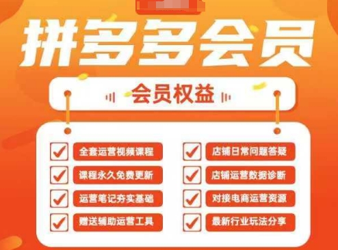 2025拼多多运营实战课,40节全流程教学,覆盖拼多多运营全链路-极客副业站