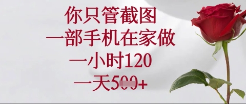 你只管截图,一部手机在家操作,一小时120.一天5张【揭秘】-极客副业站